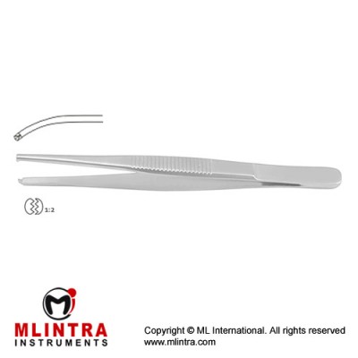 Slender Pattern Dissecting Forceps 1 x 2 Teeth Stainless Steel, 14.5 cm - 5 3/4"